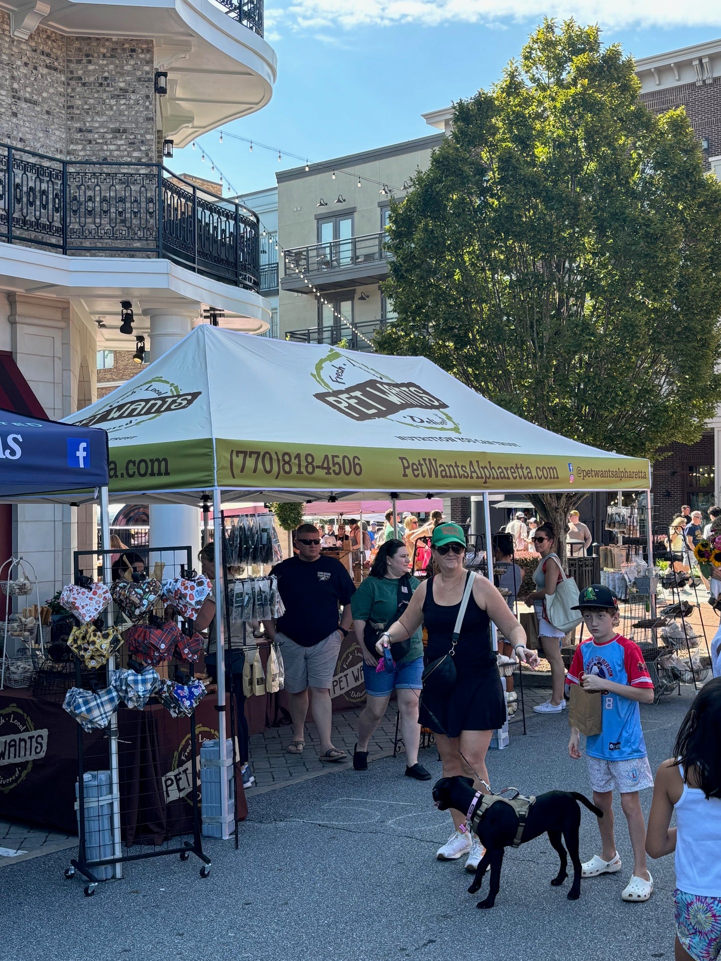 Custom Canopies - Including Frame