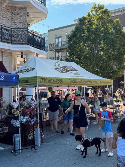 Custom Canopies - Including Frame
